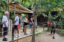 Siem Reap Guided Tour & Hero RATs at APOPO Visitor Center