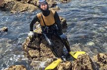 Private Encounter with a Haenyeo: Jeju Shore Excursion