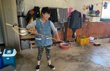 Private Encounter with a Haenyeo: Jeju Shore Excursion