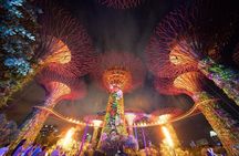Private Guided Night Tour: 2 Light Shows &Singapore River Cruise 