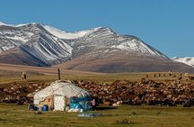 Discover Altai Mountains 8-Day Joining Tour in Western Mongolia