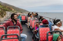 Cape Town Hop-On Hop-Off Bus & Waterfront Duck Tour Combo