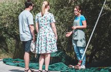 Authentic Olive Oil and Wine Tasting Experience in Chania