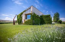 Oleotourism in Navarre. Visit and tasting of organic EVOO Artajo