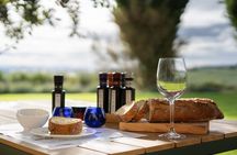 Oleotourism in Navarre. Visit and tasting of organic EVOO Artajo