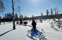 Horse ride to the snowy hill