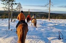 Horse ride to the snowy hill