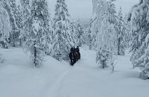 Horse ride to the snowy hill
