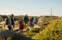 On Top of Bergen - Private Hike