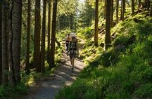 On Top of Bergen - Private Hike
