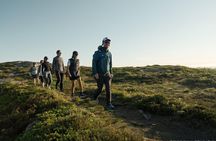 On Top of Bergen - Public Tour