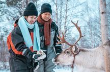 Kuoksa Reindeer Adventure