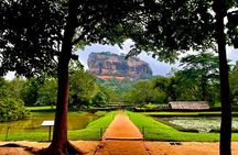 Sigiriya & Dambulla Day Tour from Hotels in Ahungalla/Bentota
