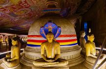 Sigiriya & Dambulla Day Tour from Hotels in Ahungalla/Bentota
