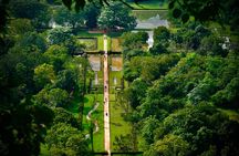 Sigiriya & Dambulla Day Tour from Hotels in Ahungalla/Bentota