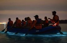 Bioluminescence Rafting Boat Tour Wildlife Refuge