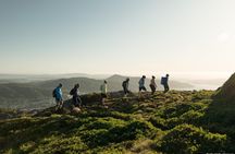On Top of Bergen - Private Hike