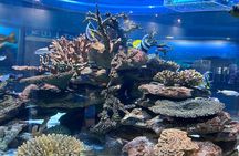 Robben Island & Aquarium Tour – Tickets & Transfers Included