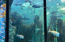 Robben Island & Aquarium Tour – Tickets & Transfers Included