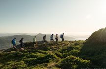 On Top of Bergen - Public Tour