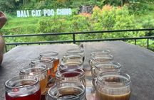 Bali ATV Quad Bike and Ayung Rafting with All Inclusive Tour