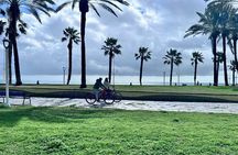 Malaga Electric Bikes Guided Tour 