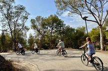 Malaga E-Bike Tour: Old Town, Gibralfaro Forest and Coast