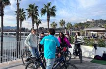 Malaga Electric Bikes Guided Tour 