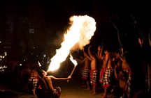 Best Trip and Activities in Bali 