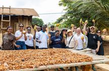 Cocoa Farm to Chocolate Factory Tour