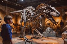 Field Museum of Natural History Chicago Tour with Tickets