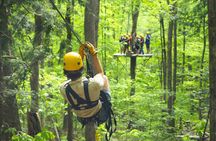 Enchanting Zipline , Camano Island and Deception Pass Tour