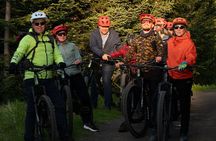 Akureyri Guided E-Bike Tour