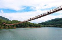 Myeongdong Seoul Bus Coach Tour Experience