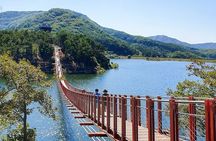 Myeongdong Seoul Bus Coach Tour Experience