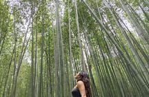 Private Customized Walking in Tour Kyoto