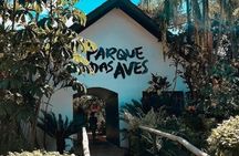 Brazilian Waterfalls Tour and Bird Park with Transfer