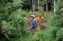 Monkeyland and Plantation in Punta cana 