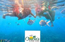 Snorkeling By Reef + West Bay Beach Break