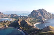  Daily Komodo Island Shared Tour by Speedboat