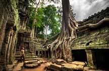 Day trip Phnom Penh to Siem Reap & Return back