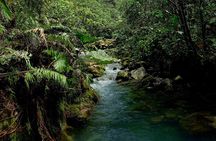 Hike to "Vuelta de Cañón" waterfall at the foot of Poas volcano.
