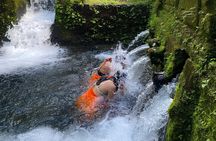 Water Purification and Releasing Ceremony 