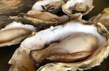 [Oysters in Suto] Let's go to Cape Kamui, Oyster Hut and Fukidashi Park by private car!To/from Sapporo