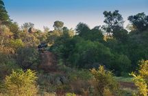 2 Day Pilanesberg Camping Safari from Johannesburg