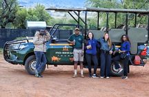 2 Day Pilanesberg Camping Safari from Johannesburg