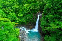 From Nagoya: Hidden Gems of the Kiso Valley (summer only)