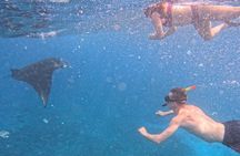 Private Snorkeling from Nusa Penida 