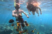 Private Snorkeling from Nusa Penida 