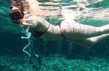 Private Snorkeling from Nusa Penida 